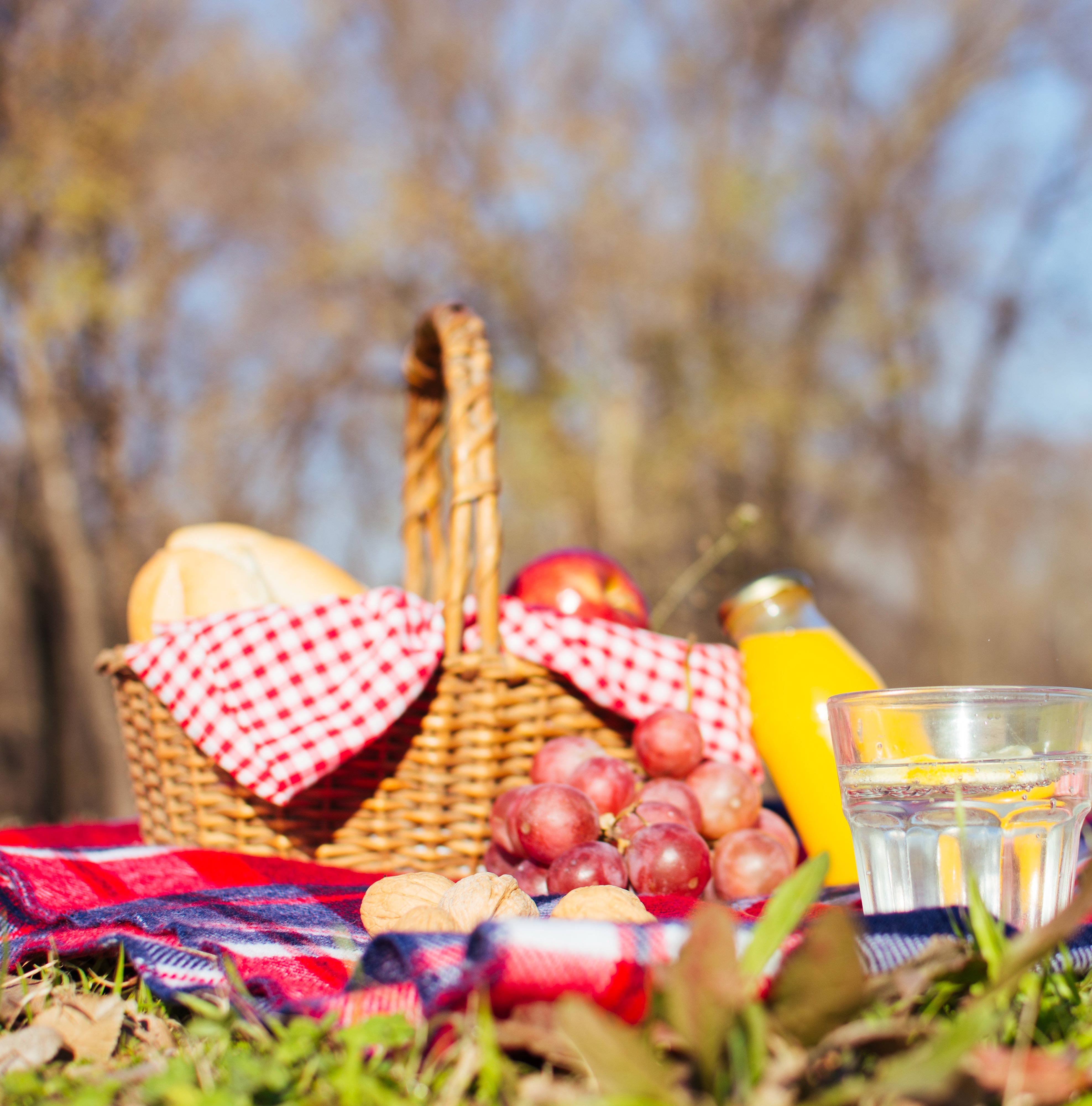 picnic