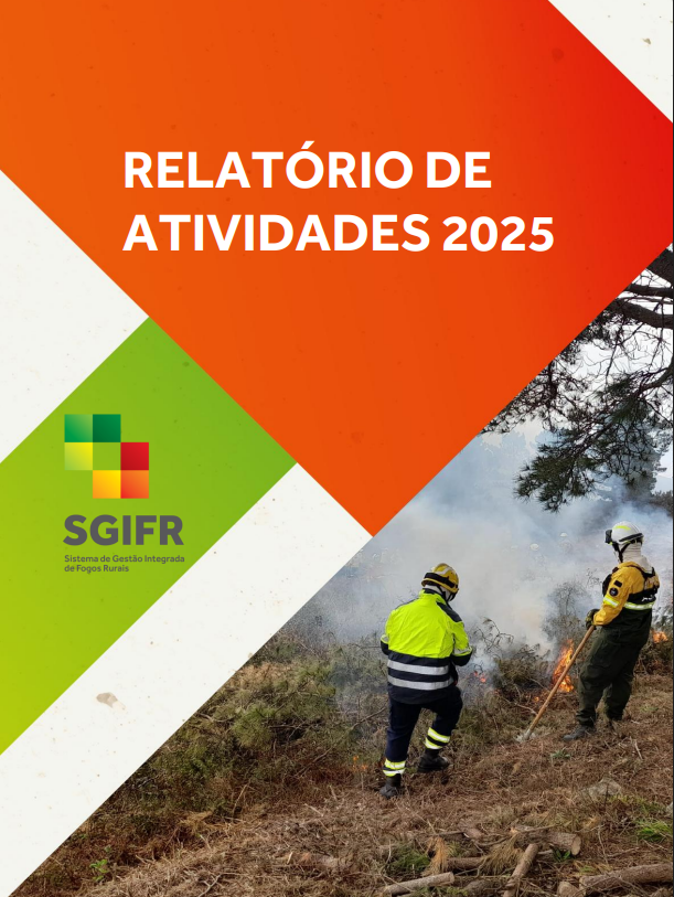 Relatório de Atividades do SGIFR 2025