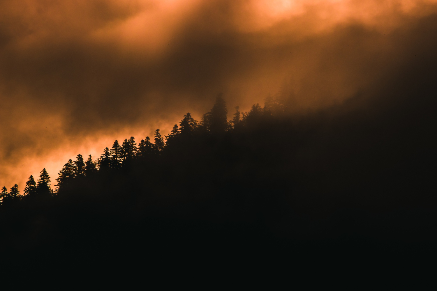 Revista Nature destaca Portugal como exemplo internacional na governança de incêndios rurais